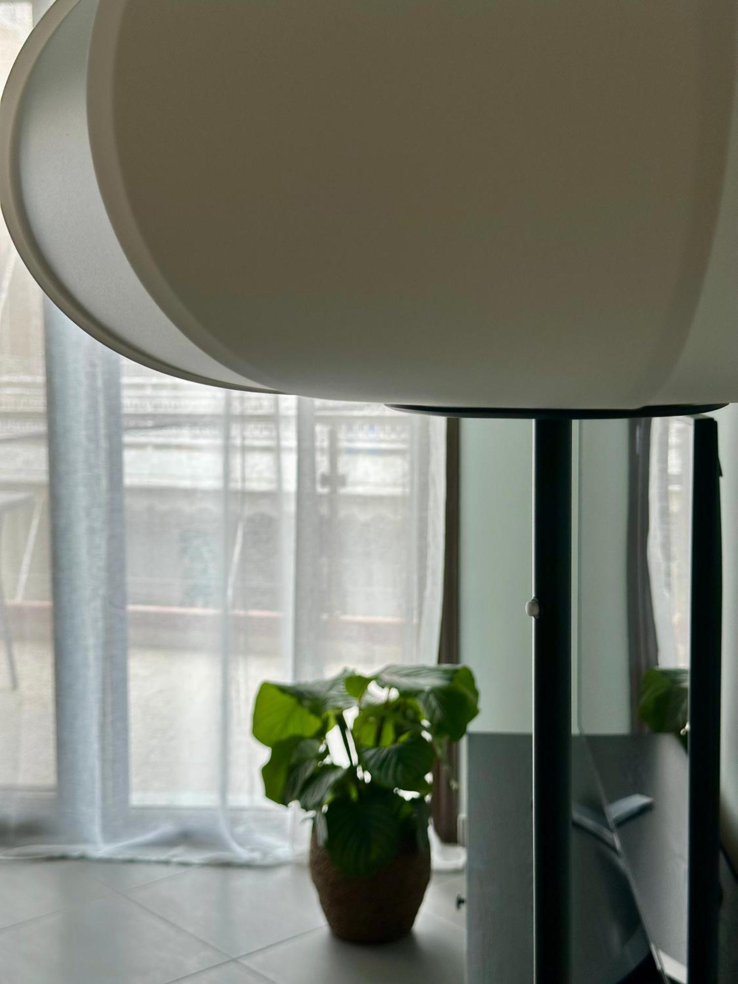 Snappyb Living Spaces 亚历山德鲁波利斯 外观 照片